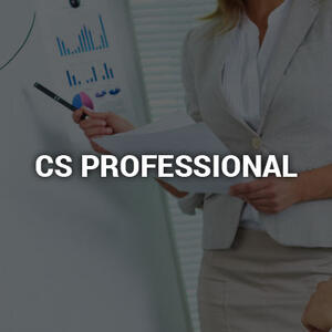 CS-Professional20160801.jpg
