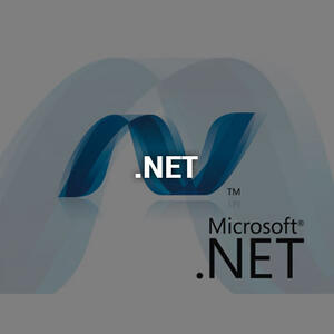 dot-net20160525.jpg