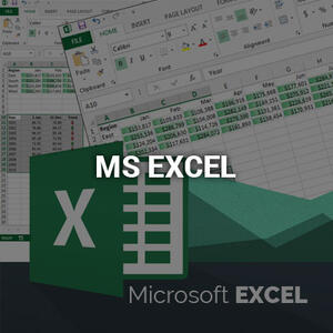 ms-excel20160525.jpg